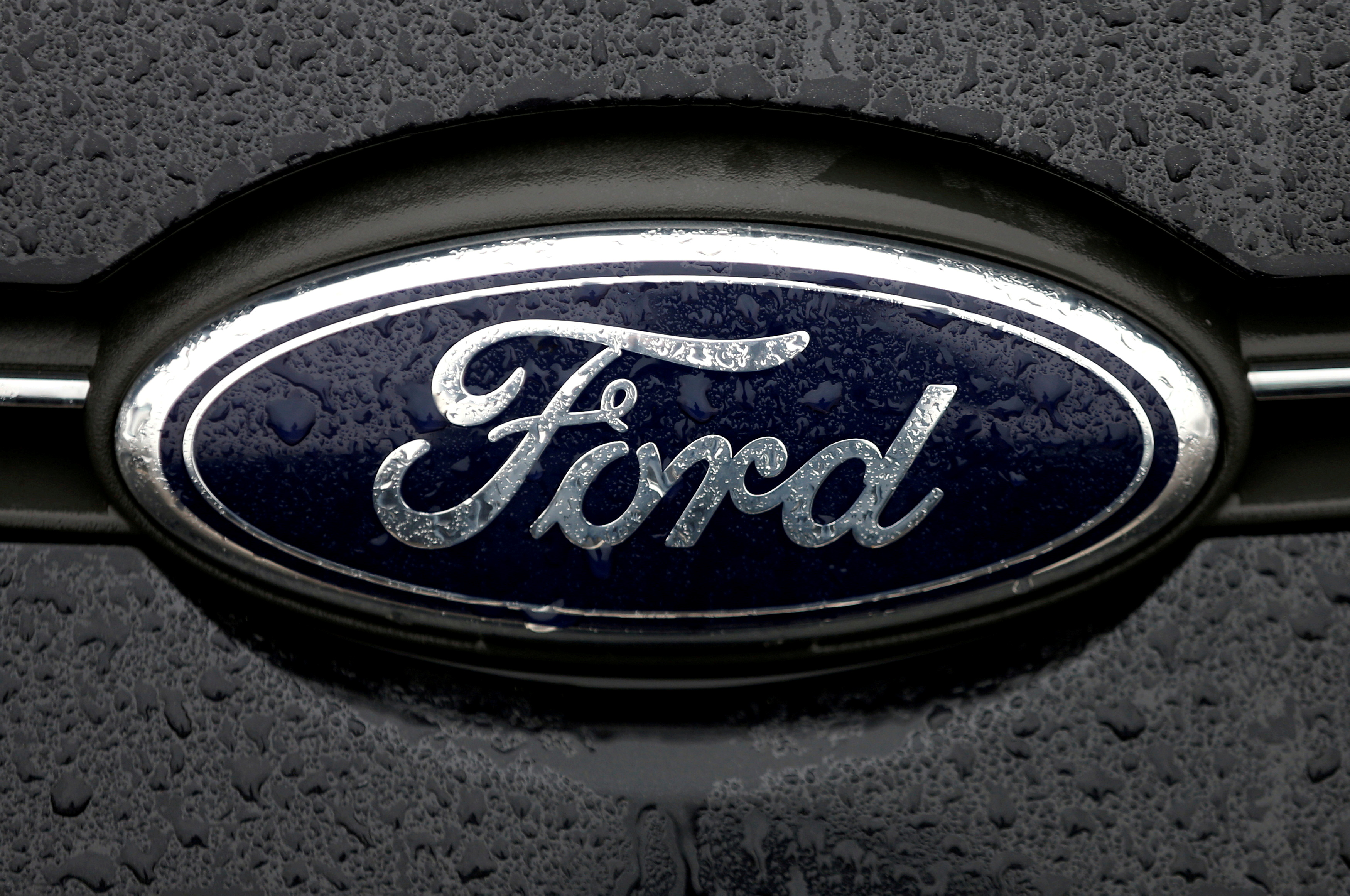 Pictured: Ford logo on a vehicle