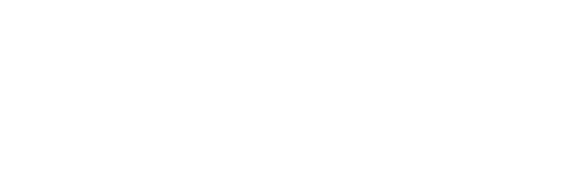 Dave Solon Nissan-logo