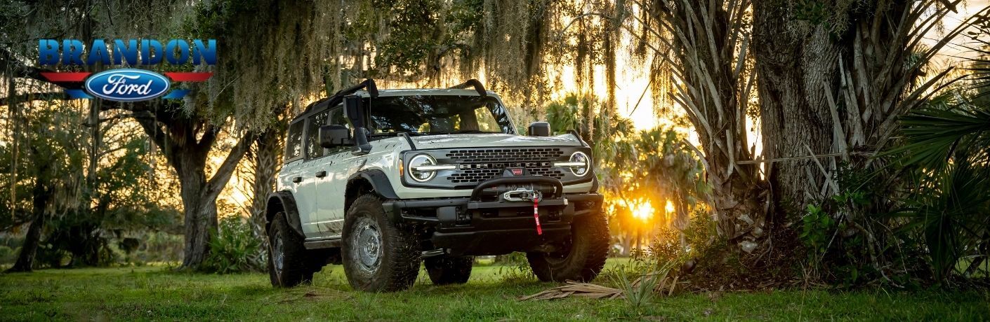 Gray 2022 Ford Bronco Everglades Front Exterior in a Swamp with Brandon Ford Logo