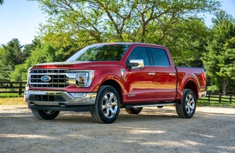 Ford F-150 in Red near a tree