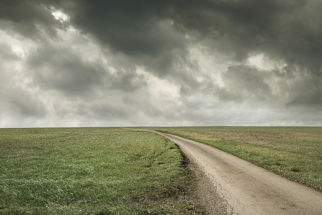 Open Road through Field