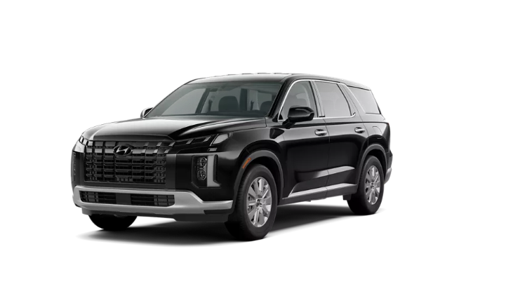 The 2025 Hyundai Palisade SE trim.