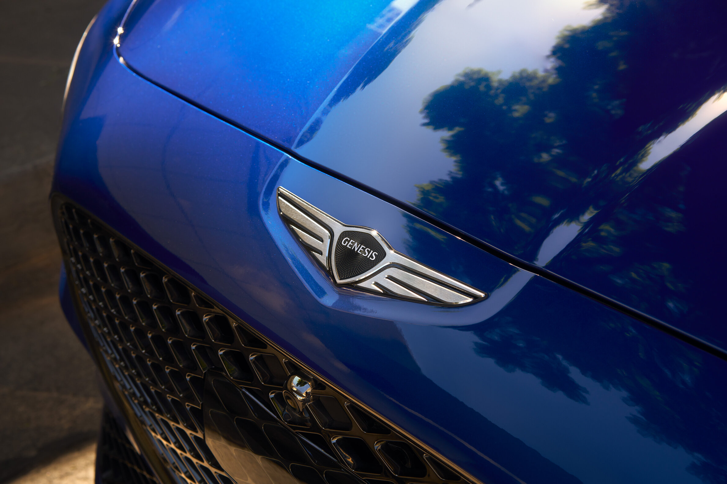 blue-genesis-car-logo