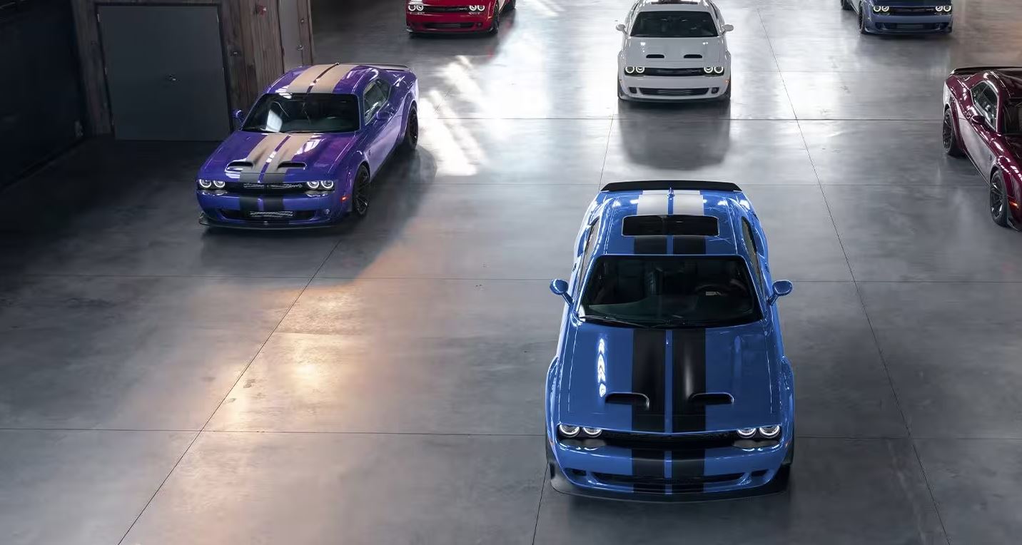 fleet of Dodge Challengers in  various colors