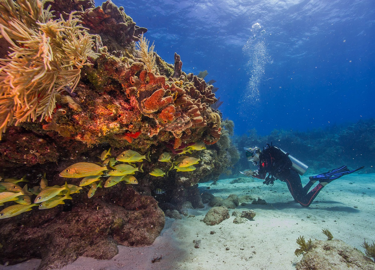 Biscayne National Park in Florida