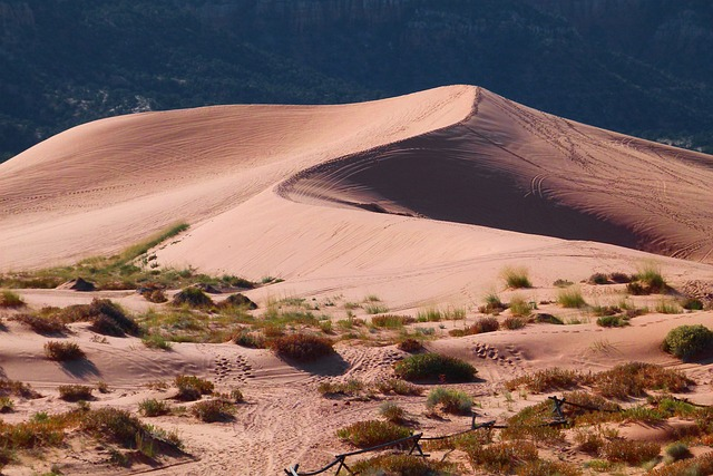 Sandy Dunes in the Desert