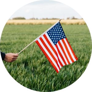 Person Holding an American Flag in a Green Field