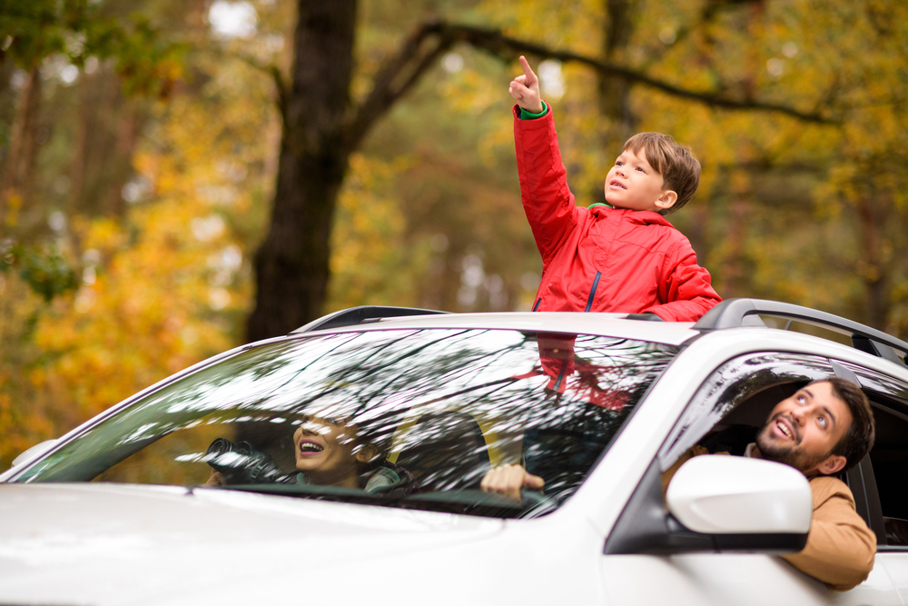 family in a silver car look up as their son stands through the moonroof and points towards the sky