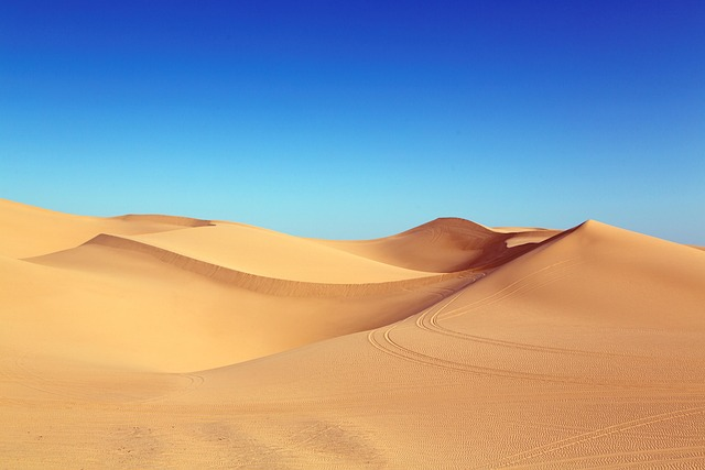 Sand Dunes with Tire Tracks