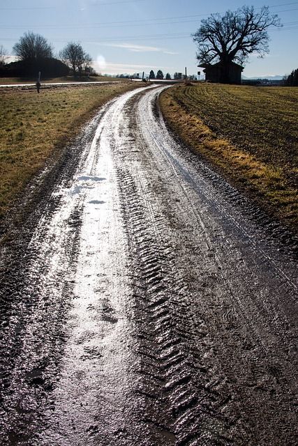 Tire Tracks through a mud road