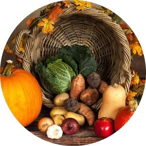 Thanksgiving Cornucopia with Food