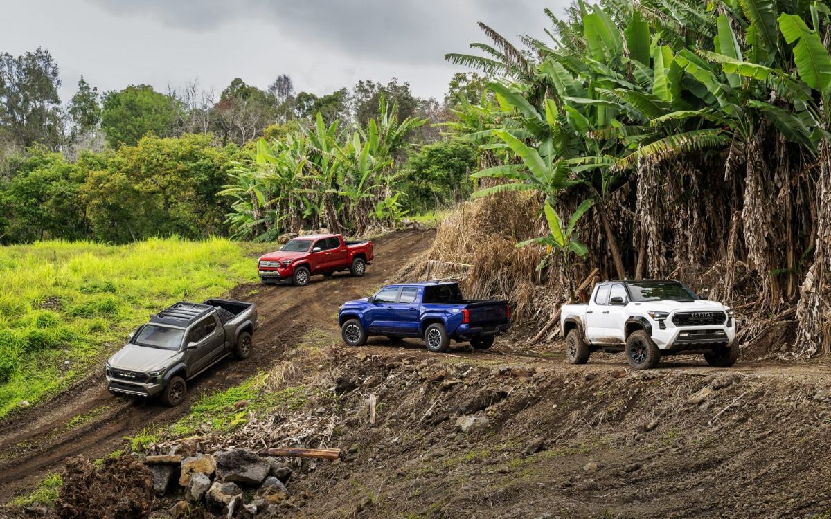 2024 Toyota Tacoma Lineup of Truck Options