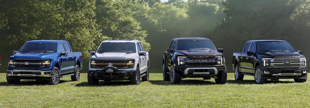 Lineup of Four 2024 Ford F-150 Models on Grass