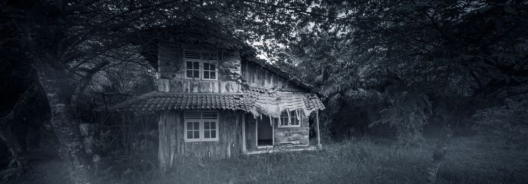 Creepy Old House in the Woods