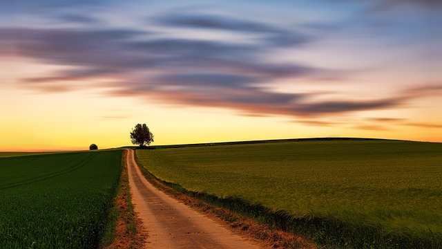 Dirt Road into Sunset