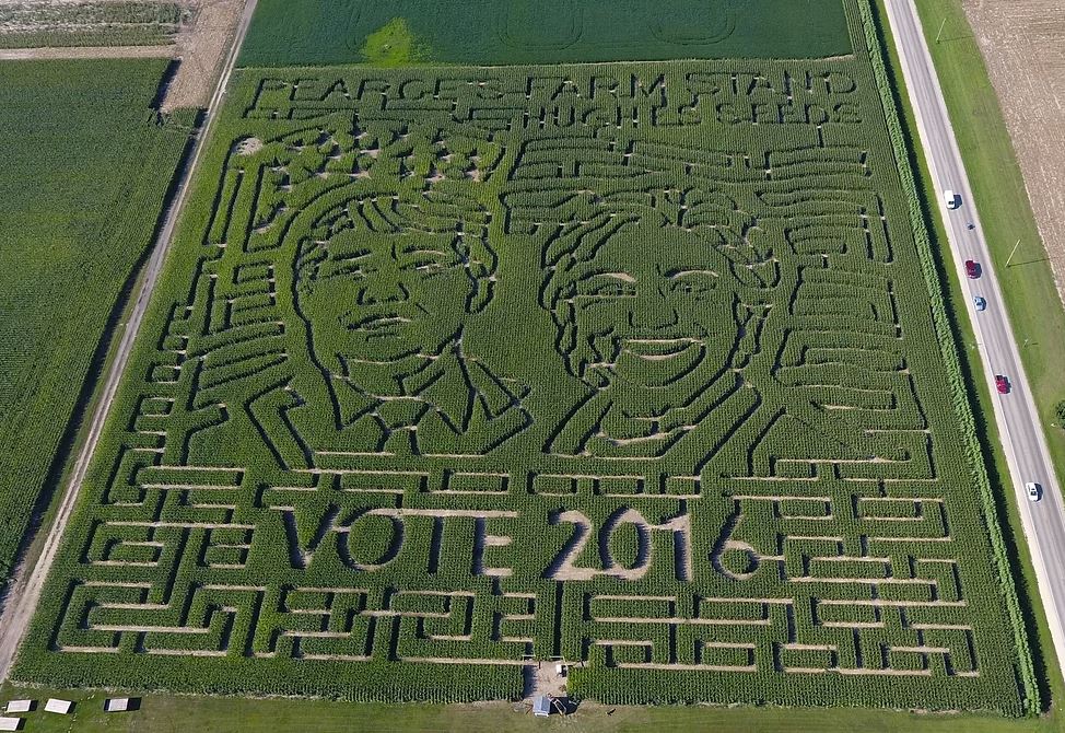 aerial photo of Pearce Farm's 12 acre farm maze themed after the 2016 election; maze has an image of Donald Trump and Hillary Clinton with an American flag; text in maze reads: Pearce's Farm Stand, Hughes Seeds, Vote 2016