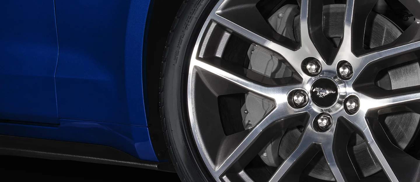 image of blue mustang tire