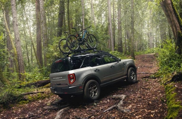 Gray 2022 Ford Bronco Sport Rear Exterior on Forest Trail