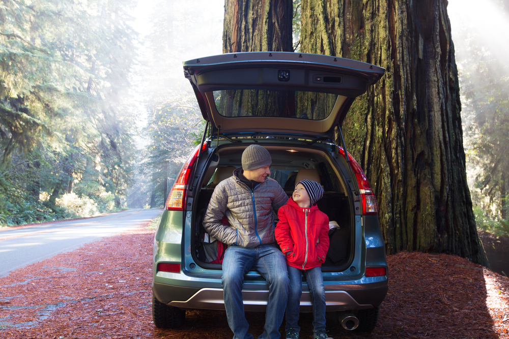 father and son sitting in the back of a sport utility vehicle near a large tree, on the side of the road