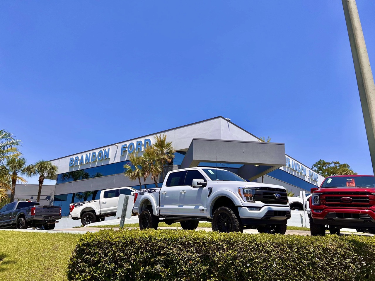 Image of F-150 sitting in front of Brandon Ford in Tampa