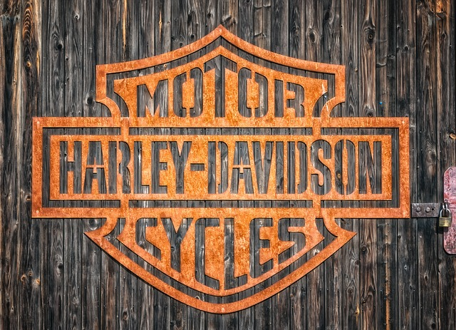 HArley Davidson Logo