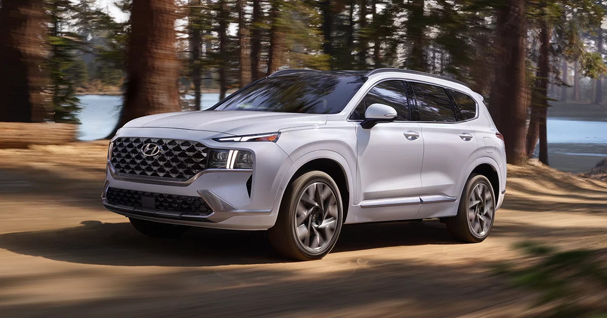 Hyundai Santa Fe Driving in woods