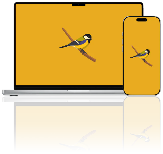Blissful Birds