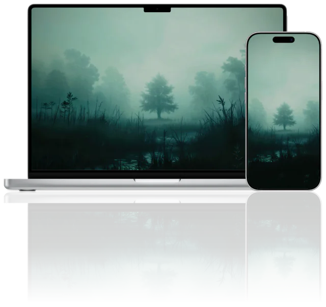 Foggy Forest
