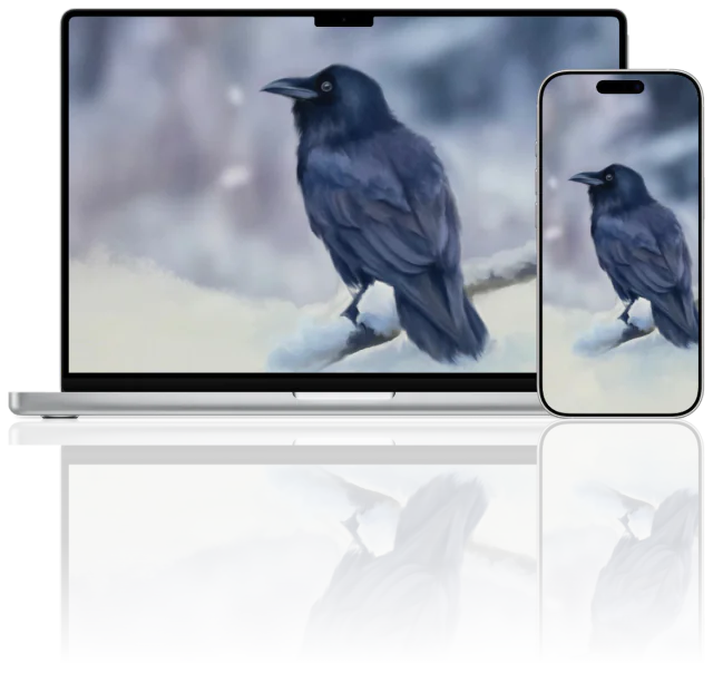 Winter Wildlife