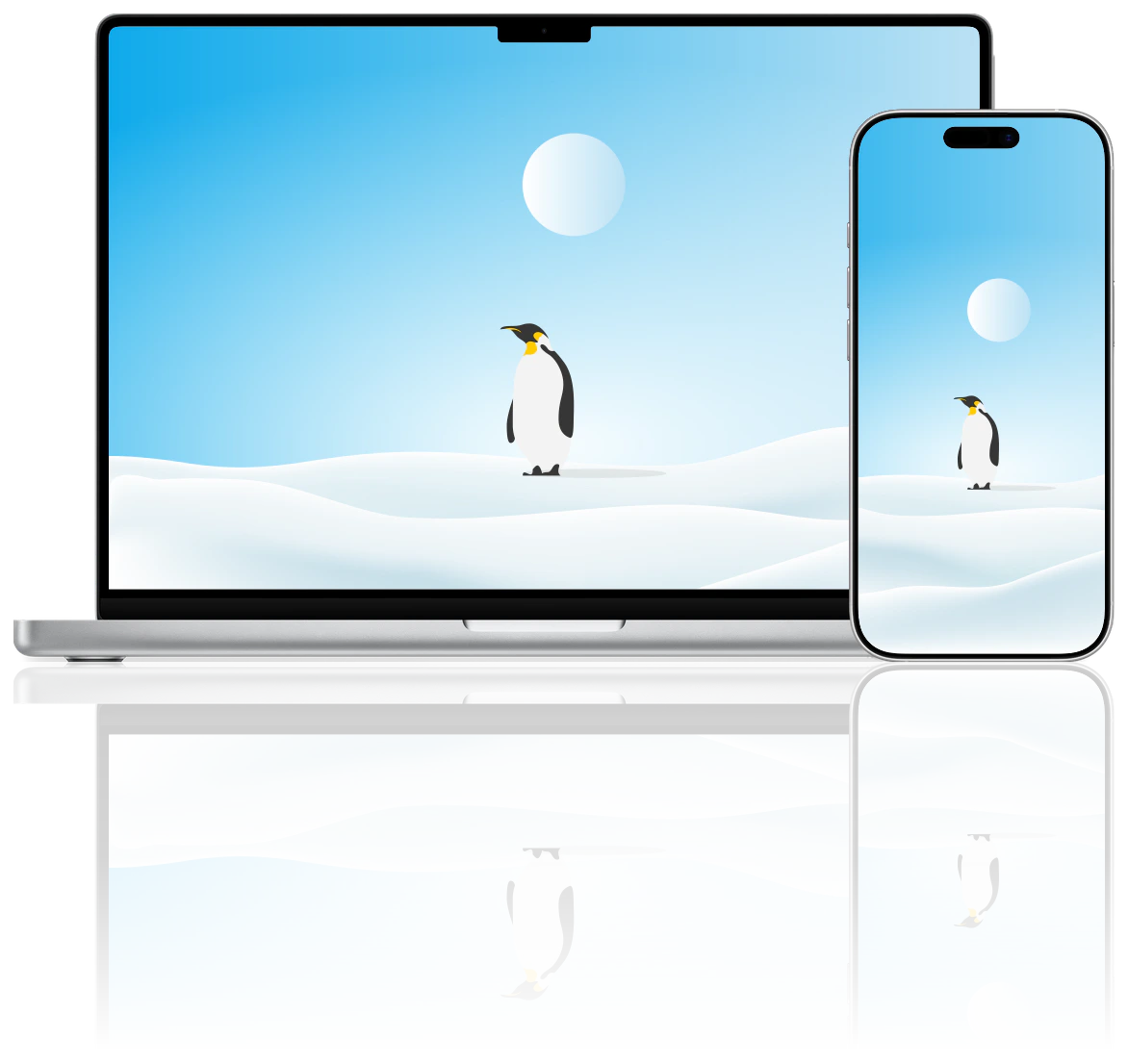 Arctic Adventures