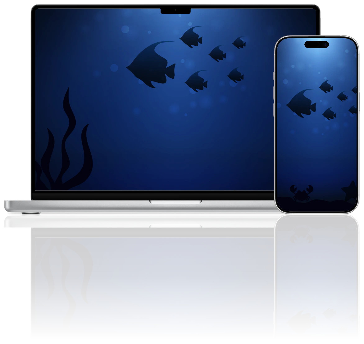 Aquatic Adventures