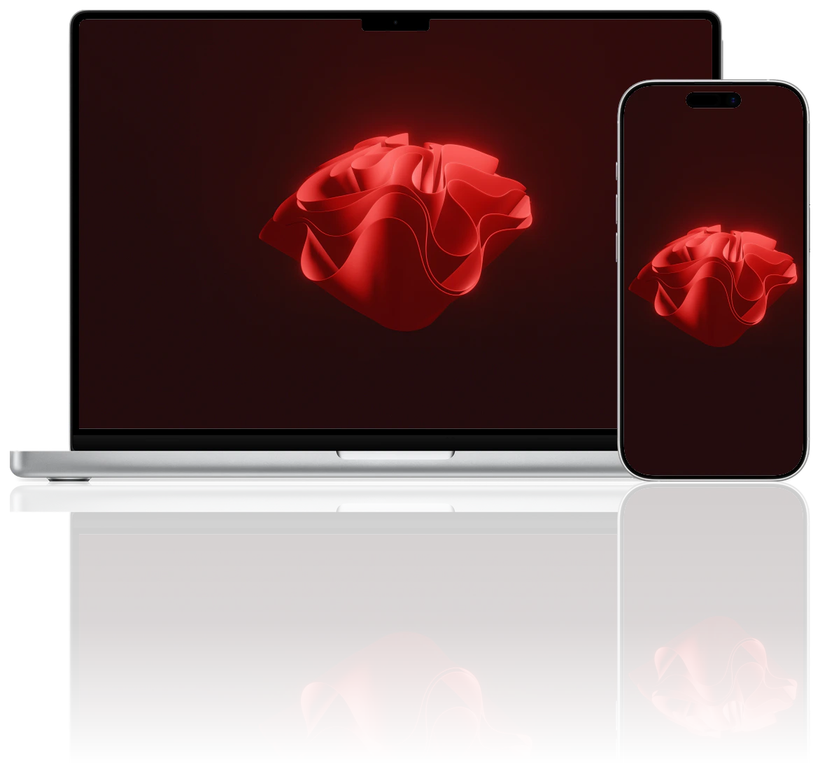 Radiant Roses