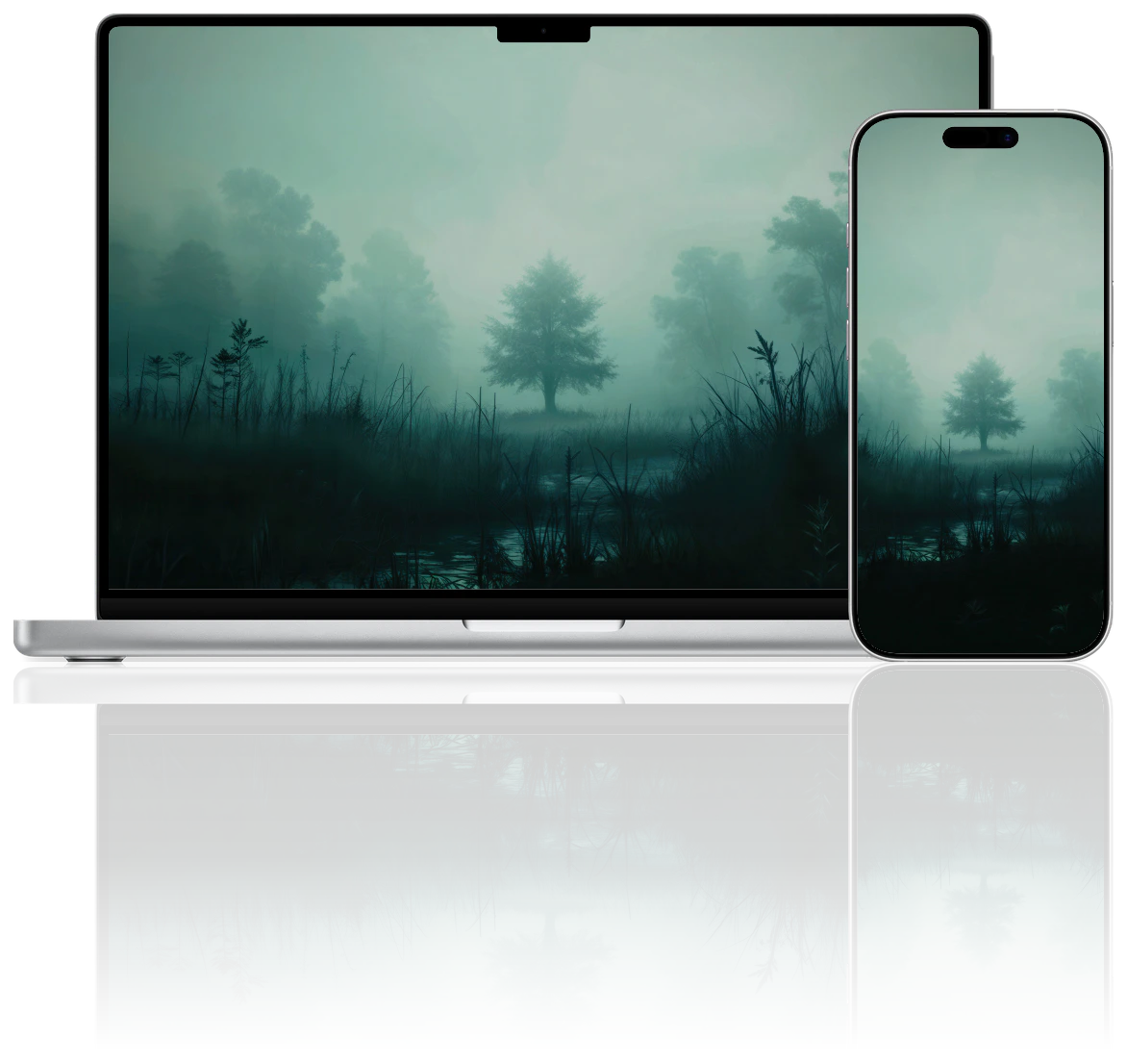 Foggy Forest