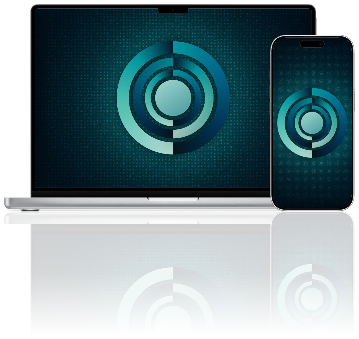 Dual Discs