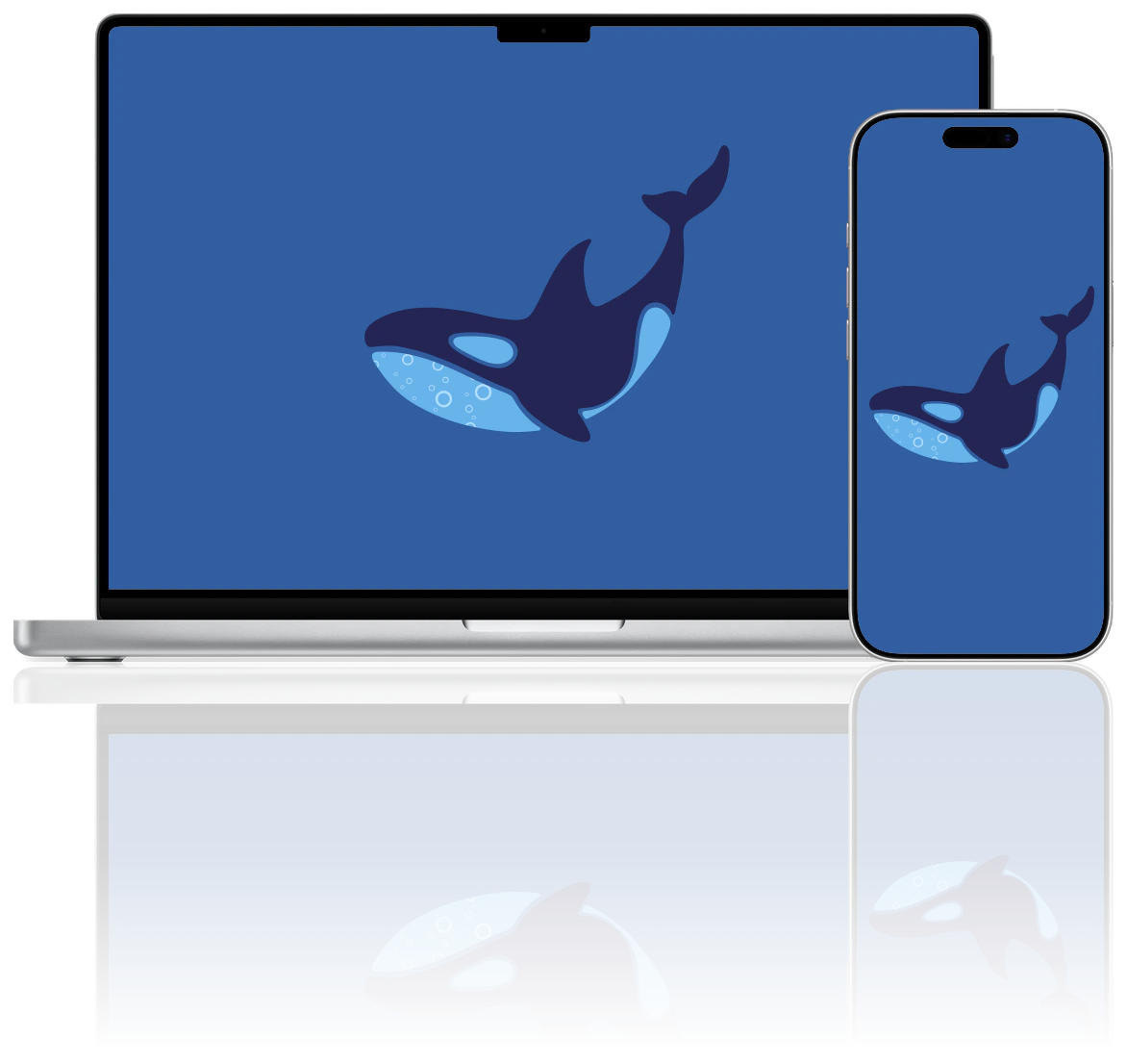 Oceanic Outlines