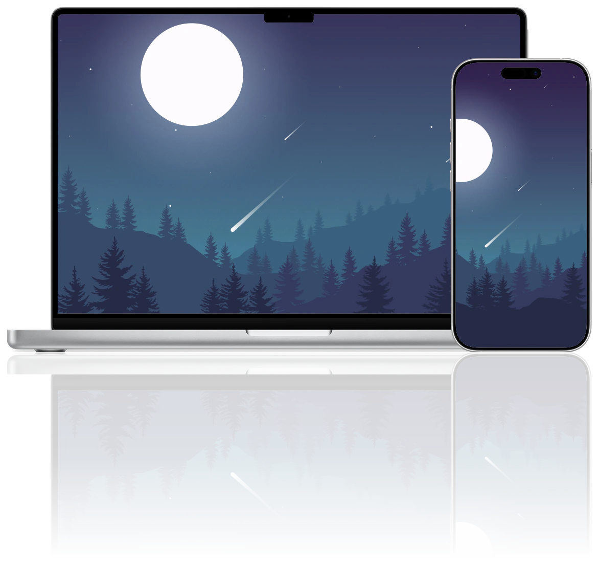 Nature Nights