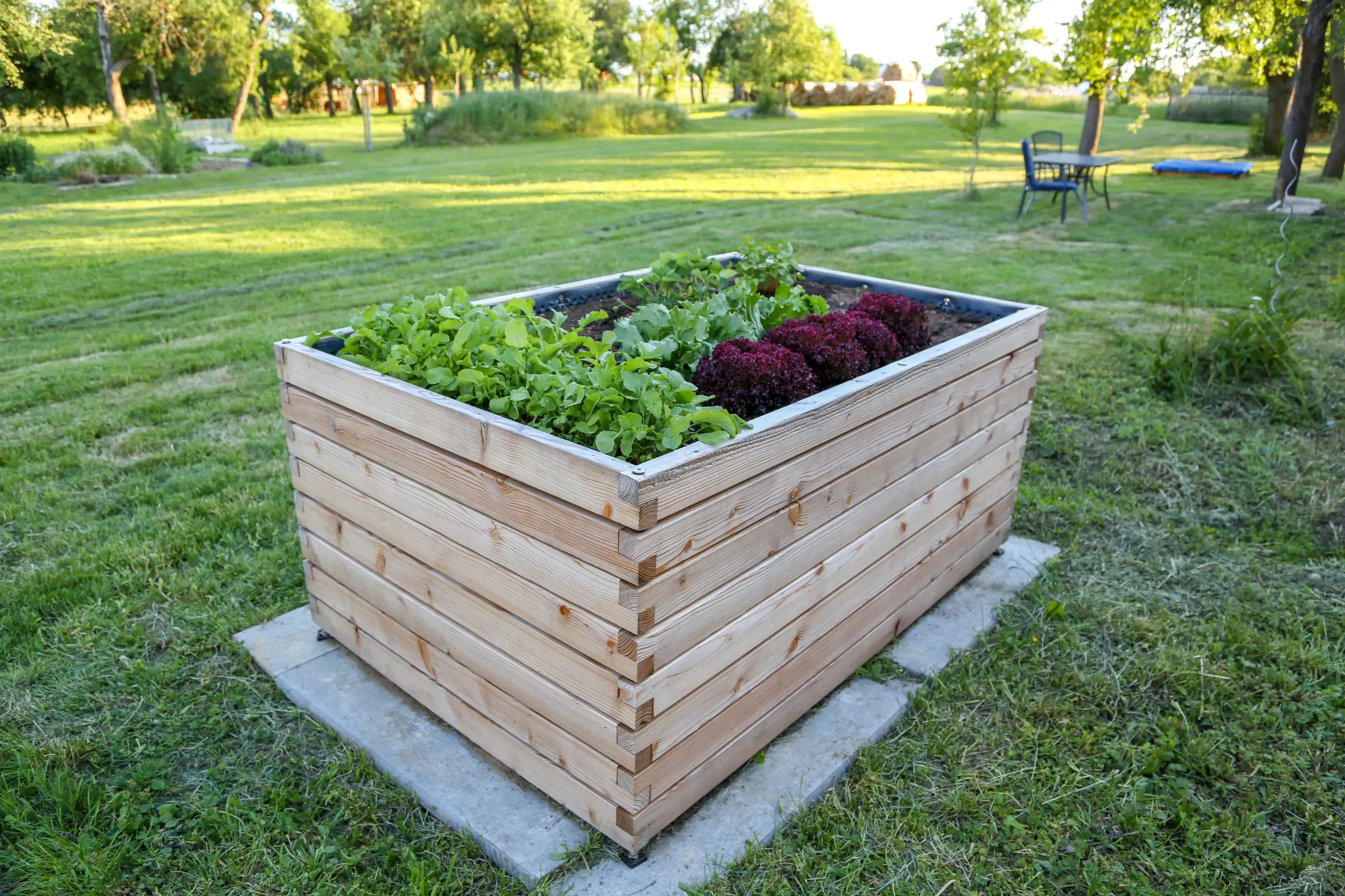 Hochbeet aus Lärchenholz steht in einem begrünten Garten