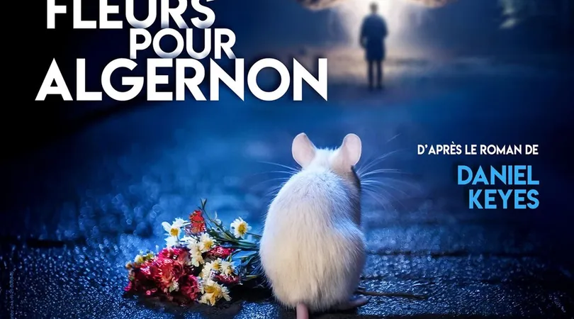 Des fleurs pour Algernon