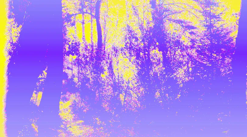 Lisière - Collectif Gwen