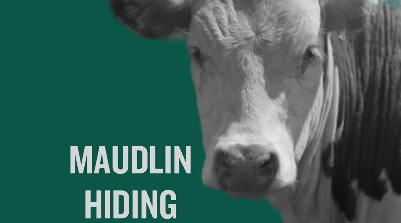 Maudlin, Hiding, Shut Up Charlie, Windpipe