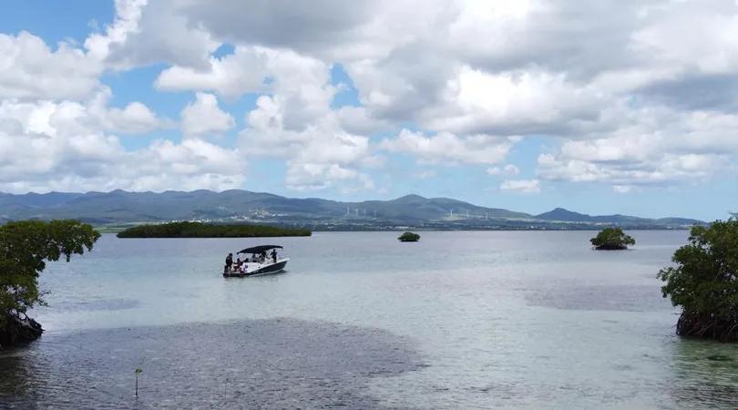 Découverte du Grand Cul-de-Sac Marin : Journée Catamaran