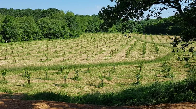 Du noisetier bio en un trésor culinaire : visite longue et dégustation complète avec le chef