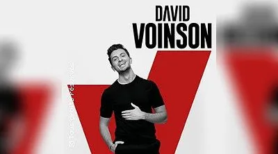 David Voinson - Tournée