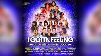 I Gotta Feeling - La Tournée des Années 2000