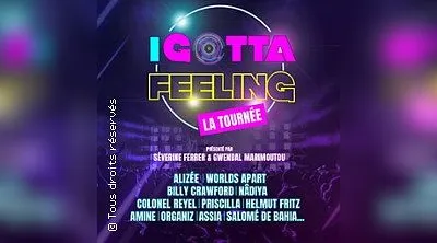I Gotta Feeling - La Tournée