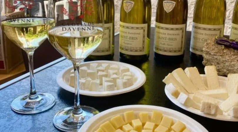 Dégustation accords vins et fromages à Chablis (89)