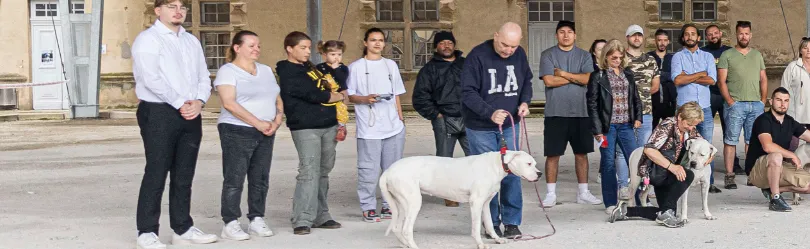 4ème Fête Nationale du Dogue Argentin