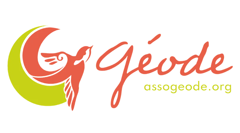 Colloque "Ado en crise, Adulte en clash..." - Accès Visioconférence