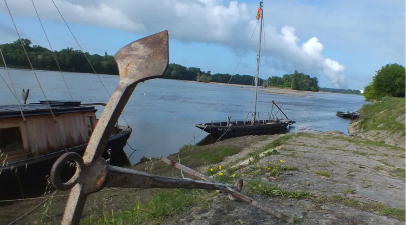 Sortie Nature et Découverte du 07/08/2024