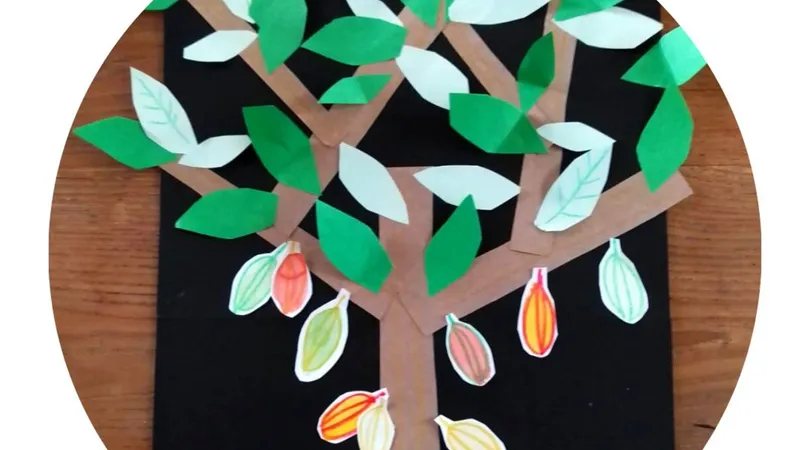Atelier créatif : Cacaoyer du Brésil